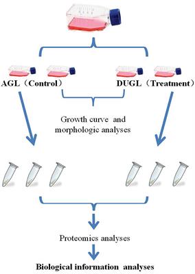 Proteomic Characterization of Proliferation Inhibition of Well-Differentiated Laryngeal Squamous Cell Carcinoma Cells Under Below-Background Radiation in a Deep Underground Environment